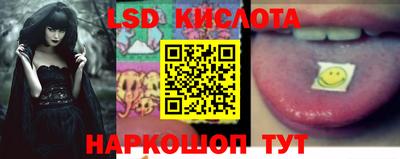 спиды Новодвинск